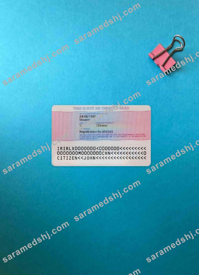 Ireland residence permit photolook BACK